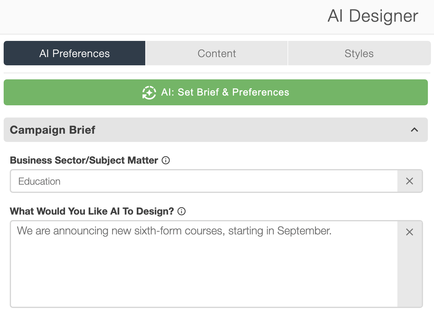 AI campaign builder showing a brief and campaign preferences